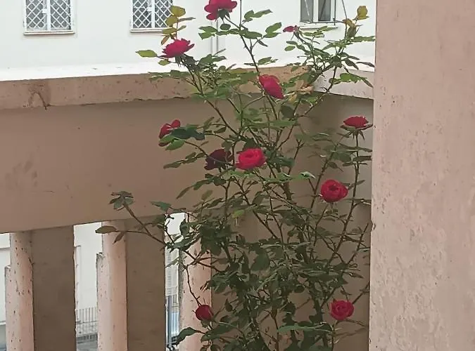 Centro Per Vacanze Apartment Rome